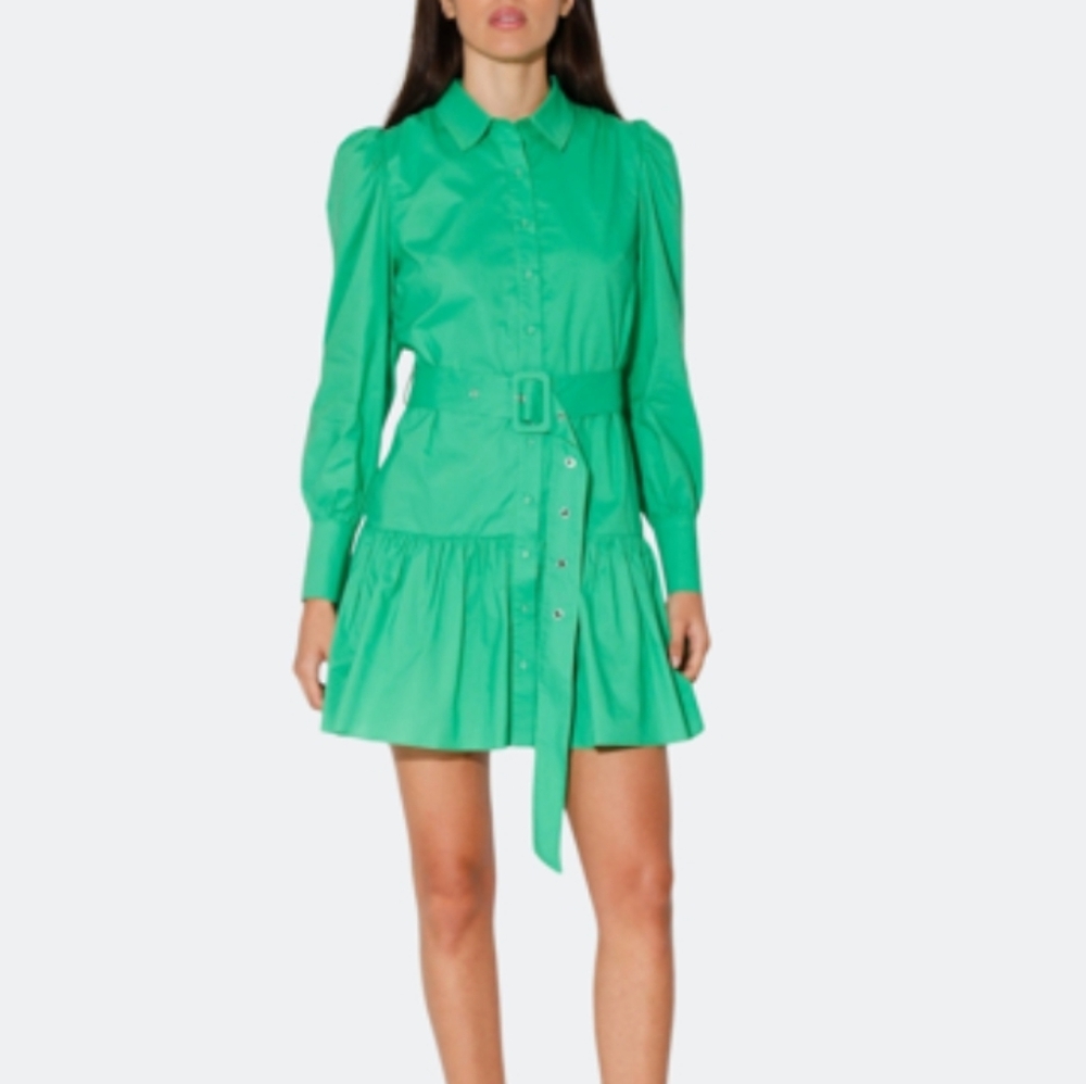 Walter Baker Tara dress
